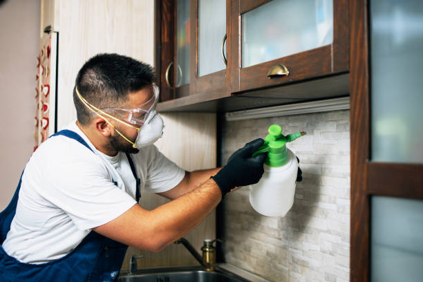 Best Cockroach Control Services  in Winnebago, IL