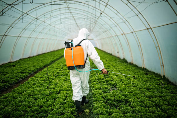 Best Mosquito Control Services  in Winnebago, IL