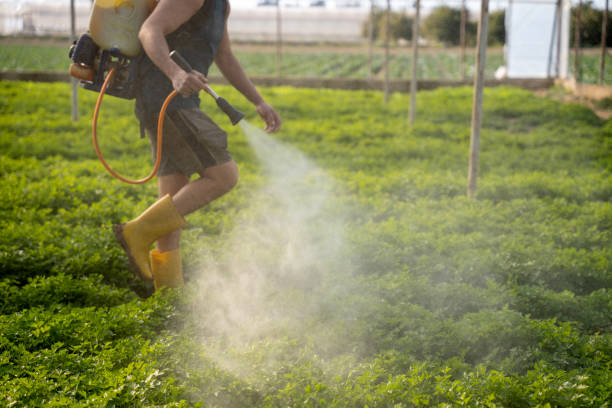 Reliable Winnebago, IL Pest Control Solutions