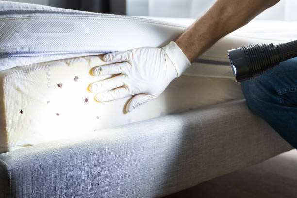 Best Pest Inspection Near Me  in Winnebago, IL