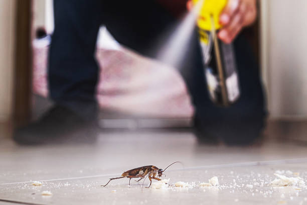 Flea Control Services in Winnebago, IL