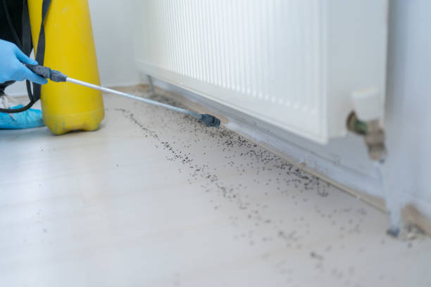 Best Ant Control Services  in Winnebago, IL